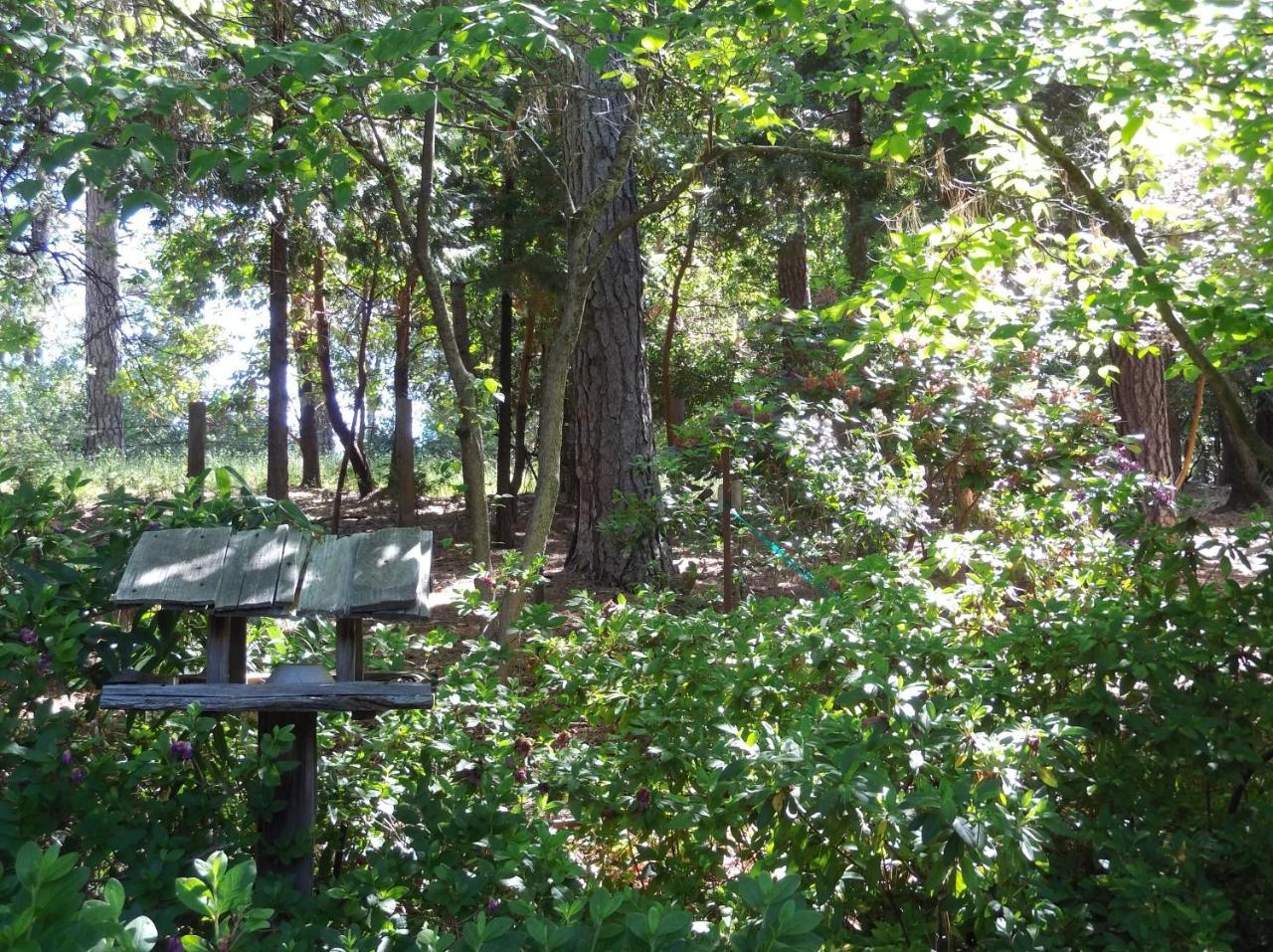 بليسرفيل Ponderosa Ridge A B & B المظهر الخارجي الصورة
